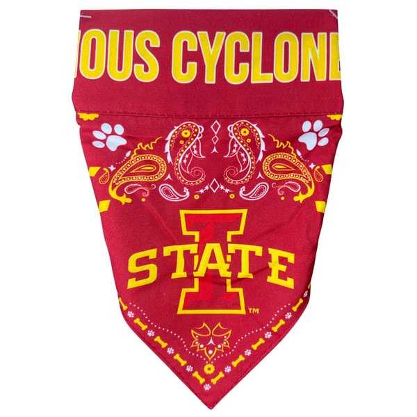 I-State Pet Bandana (Large)